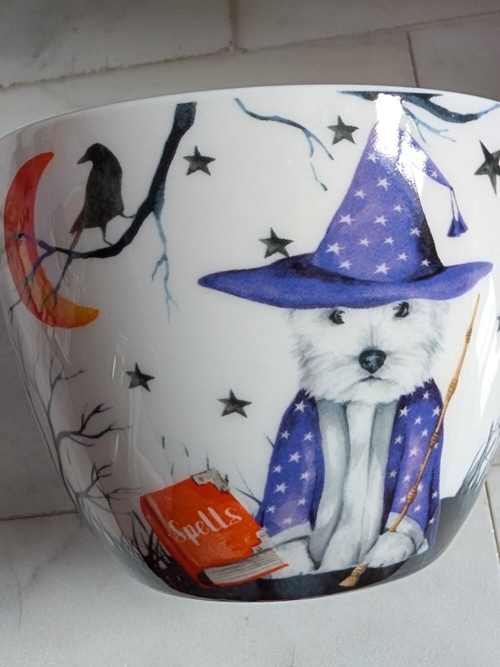 Wizard Westie 16oz Portobello By Design bone china mug